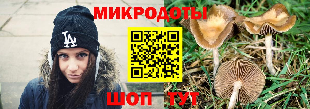 Галлюциногенные грибы мицелий Кубинка